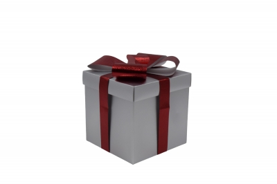 δωρο πτυσσομενο 20*20*20cm silver box/red bow
