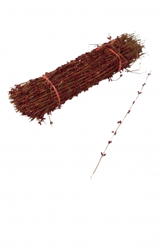      200 37cm