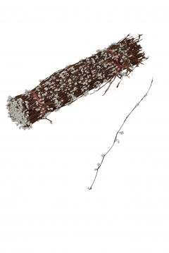      200 37cm