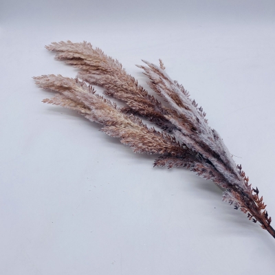 τεχνητο κλαδι barley 80cm natural χιονισμενο