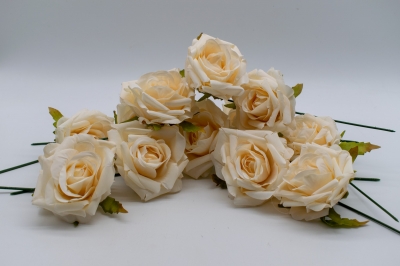 ΠΑΚΕΤΟ S/12 ΤΡΙΑΝΤΑΦΥΛΛΟ BUD PICK 7CM CREAM