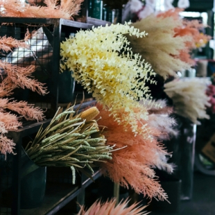 DRIED NATURE