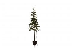 . 180cm apline fir green pe