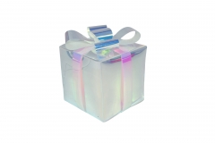   12*14cm 15 led iri/transparent warm white usb